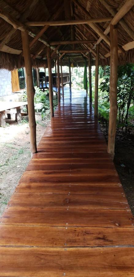 The Mountain House Hotel Drake Bay Luaran gambar